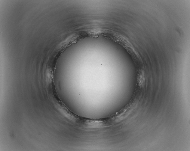 X0000112800476200909041436