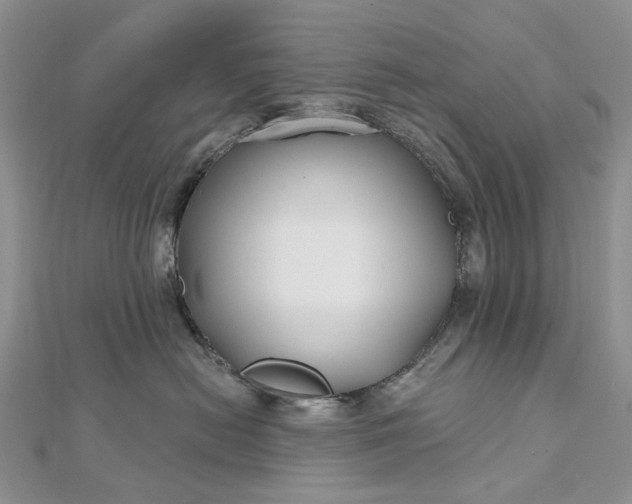 X0000112800478200909041436