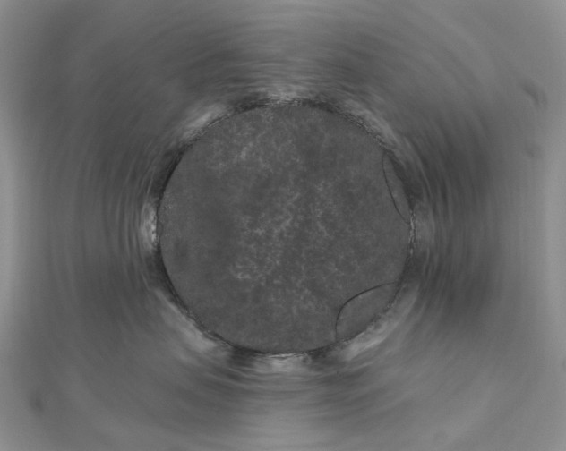 X0000112800479200909041436