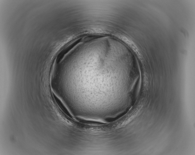 X0000112800481200909041436