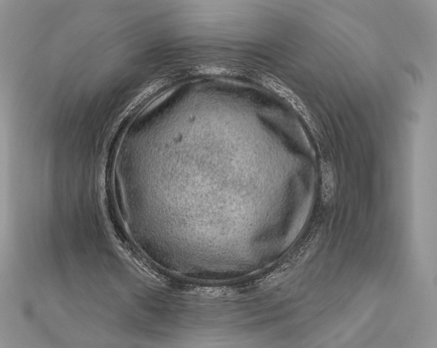 X0000112800482200909041436