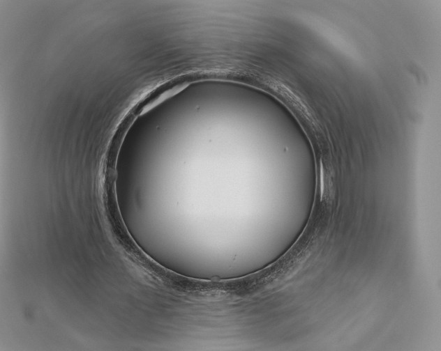 X0000112800483200909041436