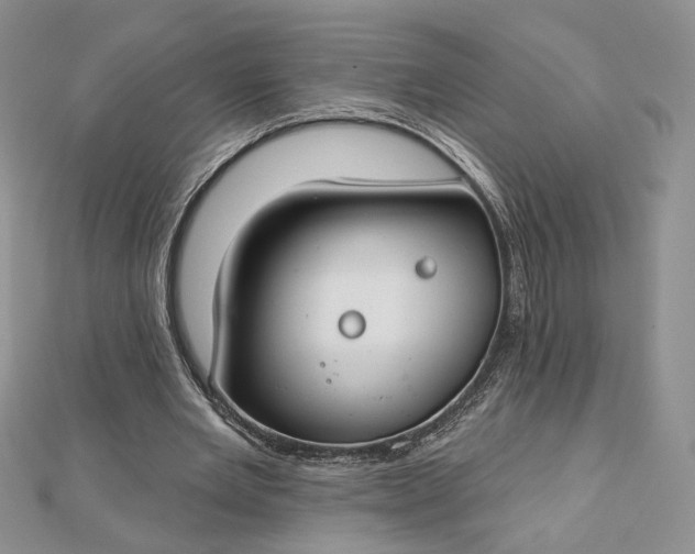 X0000112800485200909041436