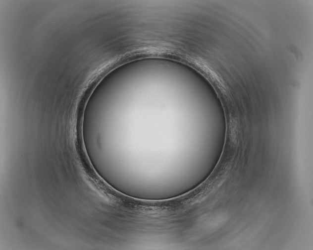 X0000112800486200909041436