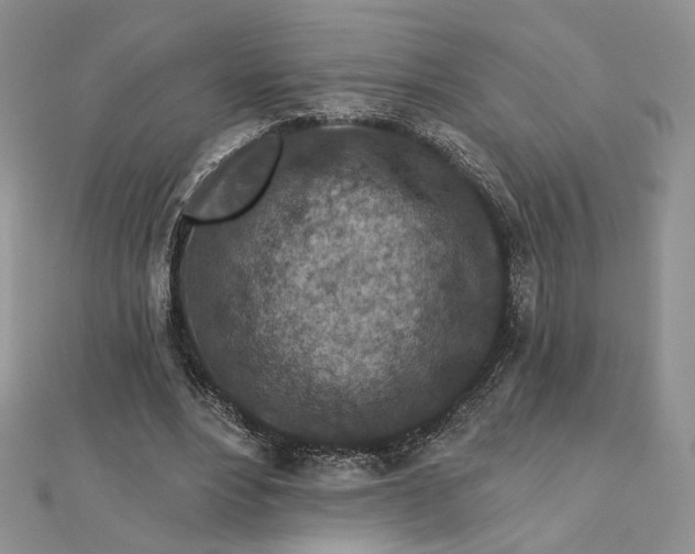 X0000112800488200909041436