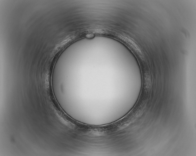 X0000112800489200909041436