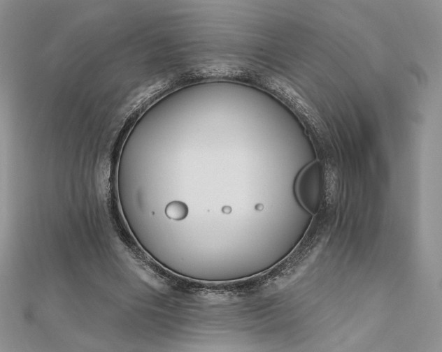 X0000112800490200909041436