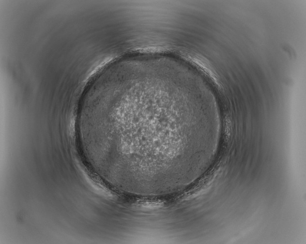 X0000112800491200909041436