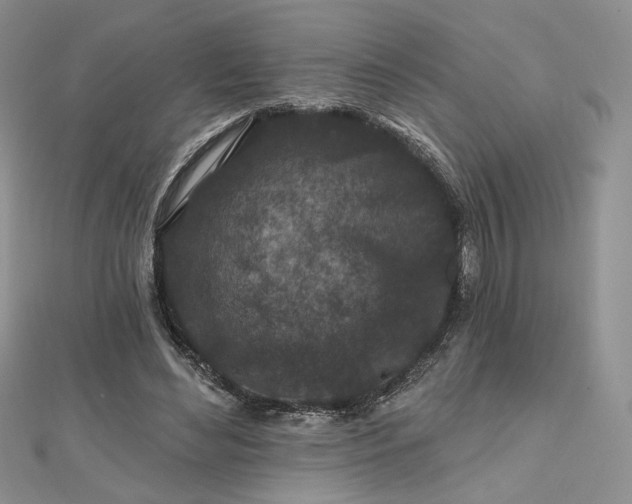 X0000112800492200909041436