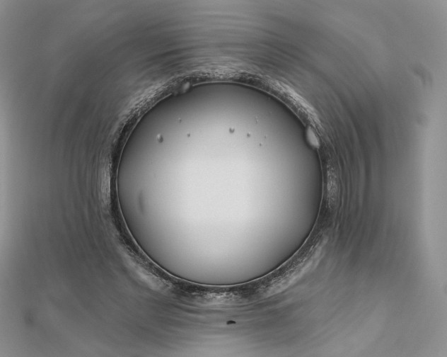 X0000112800493200909041436