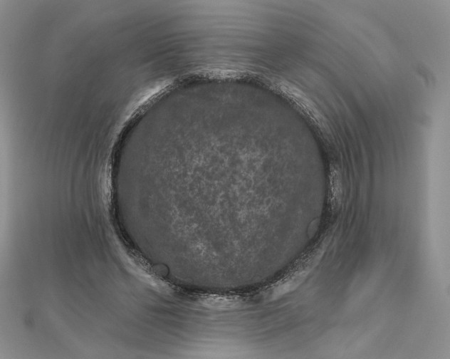 X0000112800494200909041435