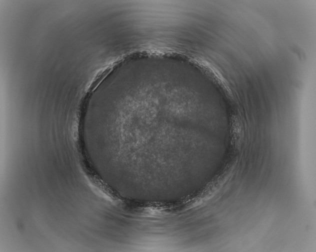 X0000112800496200909041435