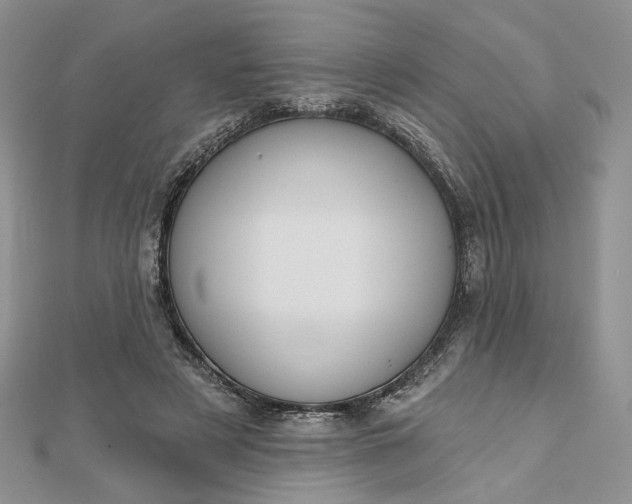 X0000112800497200909041435