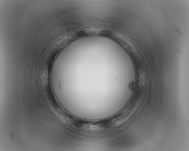 X0000112800498200909041435