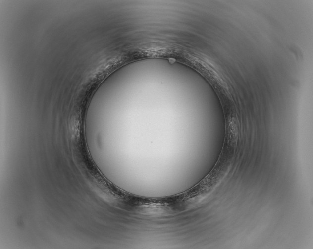 X0000112800499200909041435