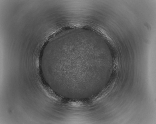 X0000112800500200909041435