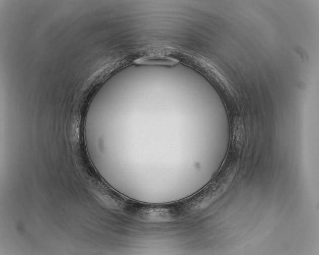 X0000112800501200909041435