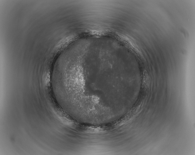 X0000112800502200909041435