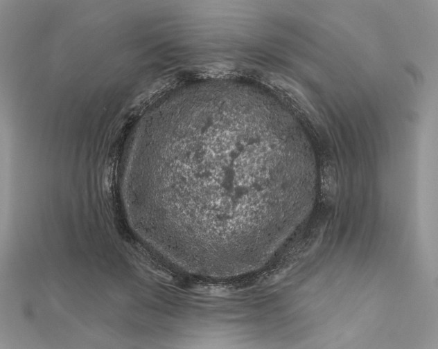 X0000112800503200909041435