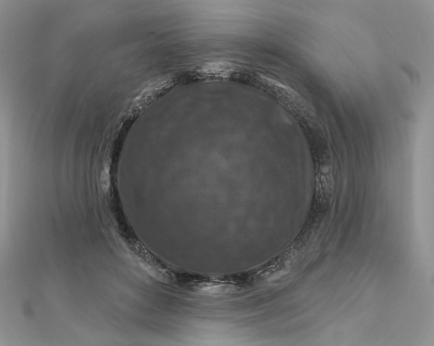 X0000112800504200909041435