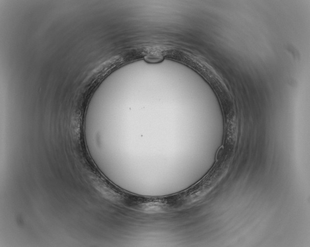 X0000112800505200909041435