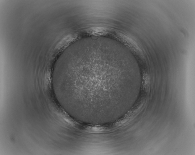 X0000112800506200909041435