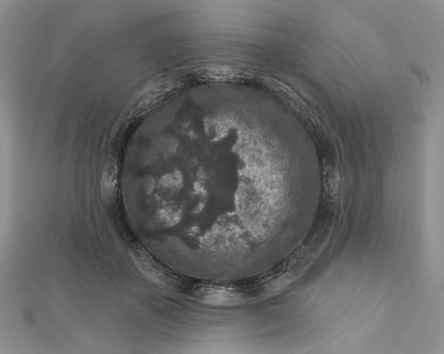 X0000112800507200909041435