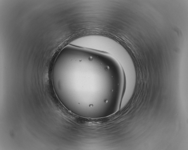 X0000112800508200909041435