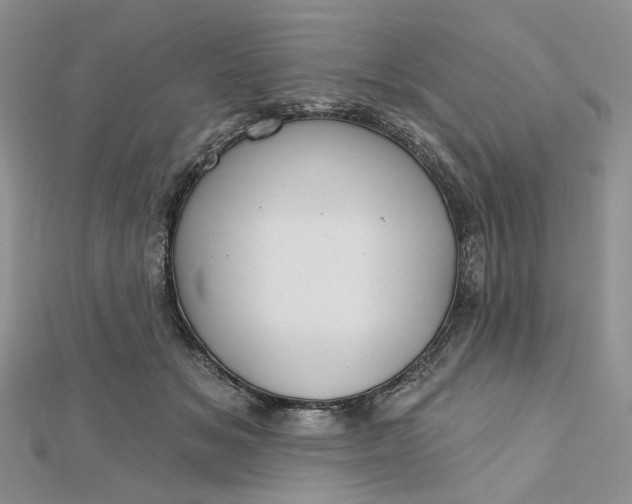 X0000112800509200909041435