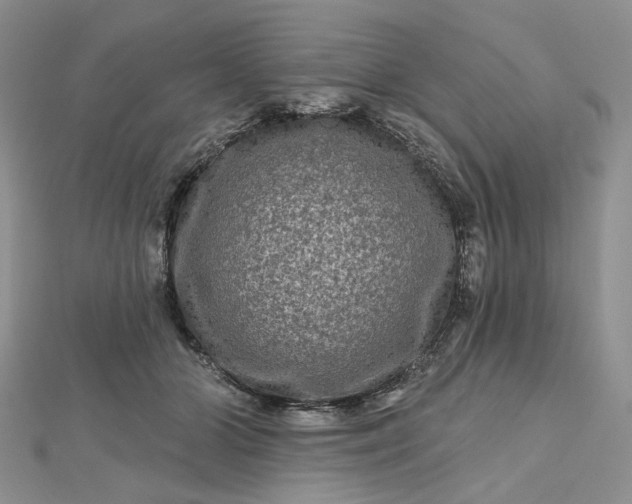 X0000112800510200909041435