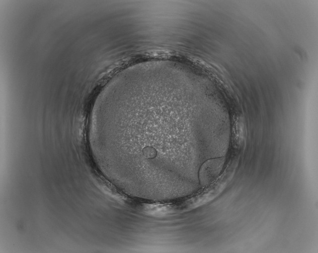 X0000112800511200909041435