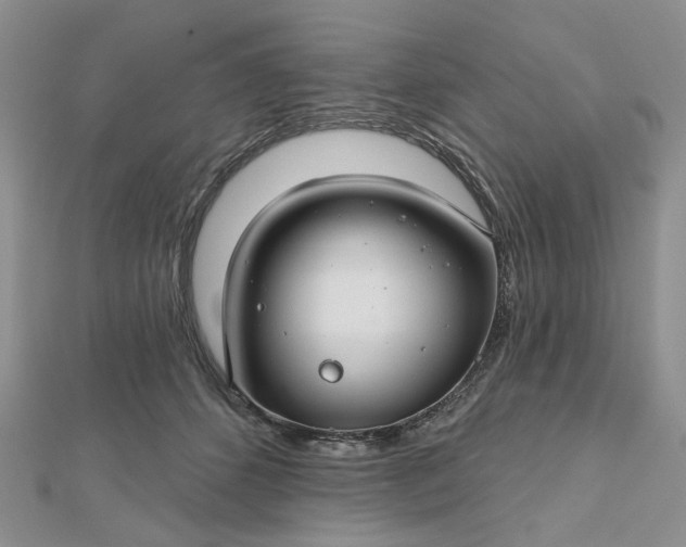 X0000112800512200909041435