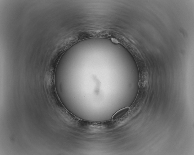 X0000112800515200909041435