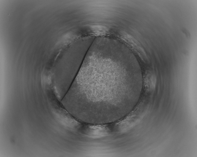 X0000112800516200909041435