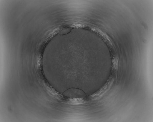 X0000112800517200909041435