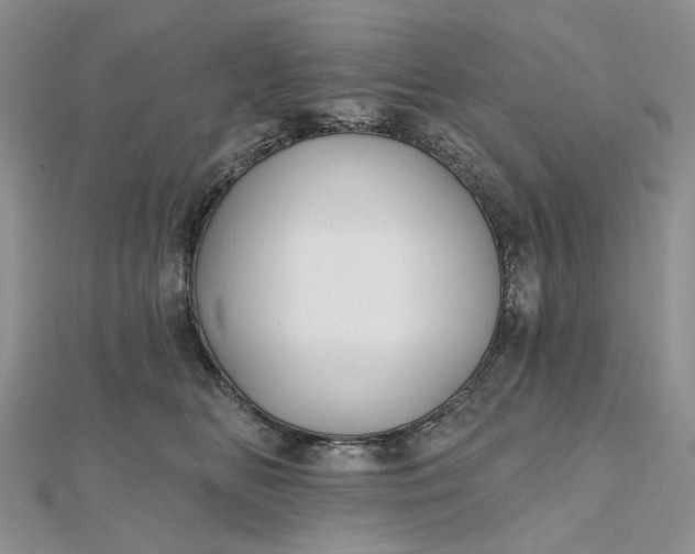 X0000112800518200909041435