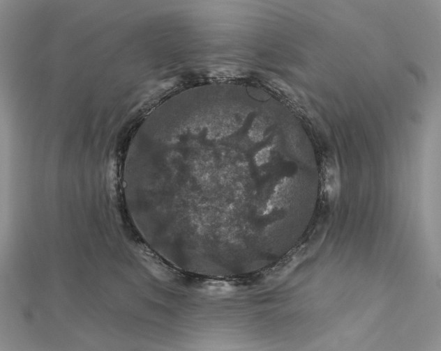 X0000112800519200909041435