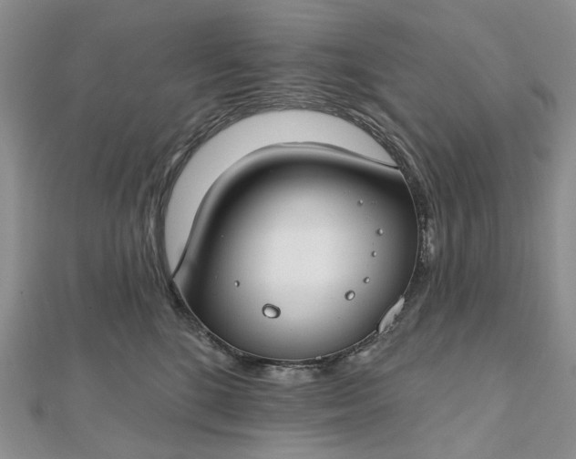 X0000112800520200909041435