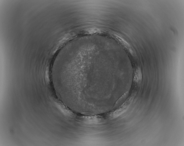 X0000112800524200909041435