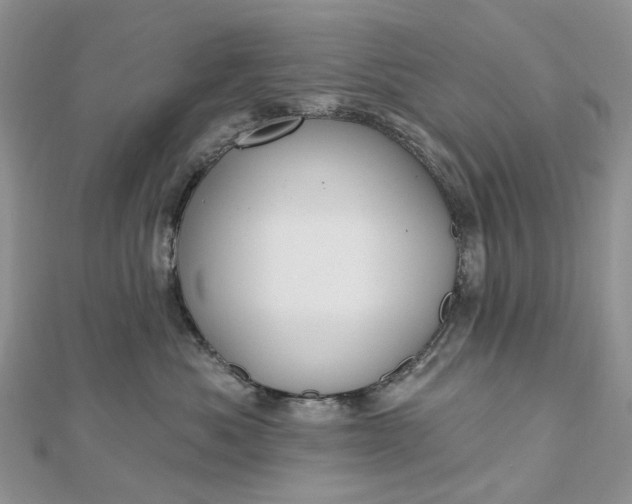 X0000112800525200909041435