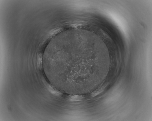 X0000112800527200909041435