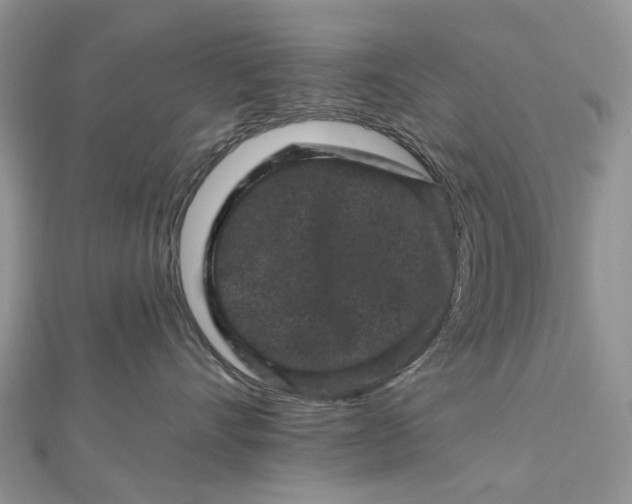 X0000112800528200909041435