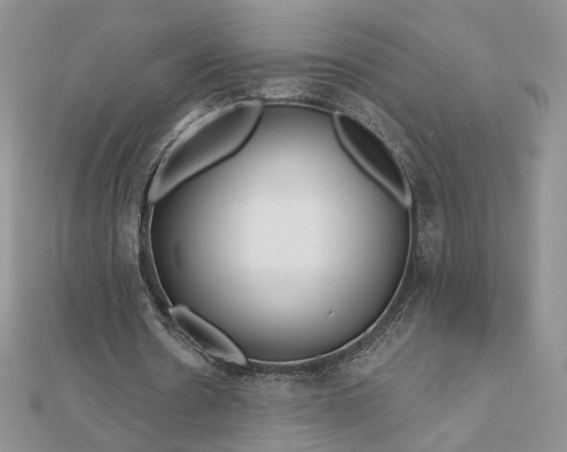 X0000112800530200909041434