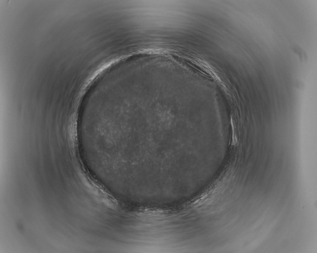 X0000112800531200909041434