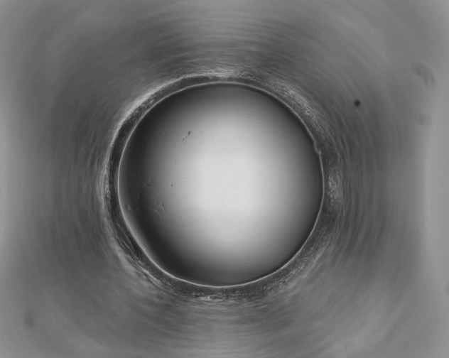 X0000112800532200909041434