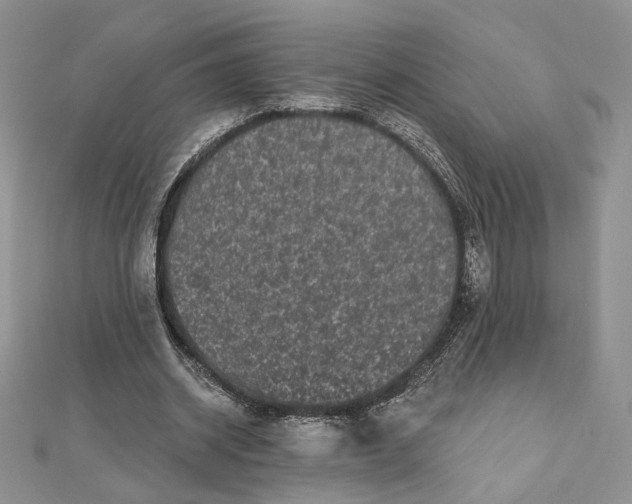 X0000112800534200909041435