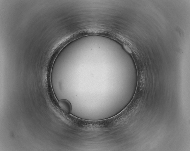 X0000112800535200909041435