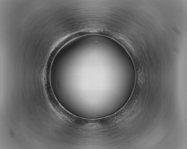 X0000112800536200909041435