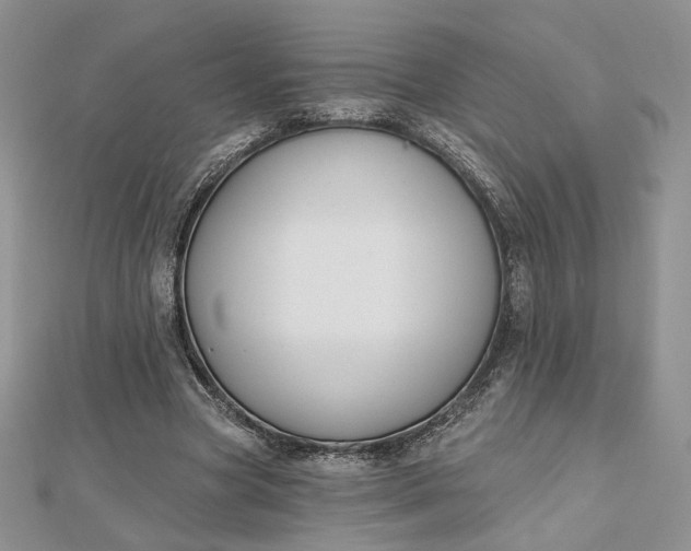 X0000112800537200909041435