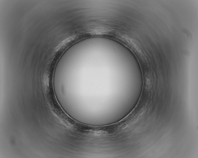 X0000112800539200909041435